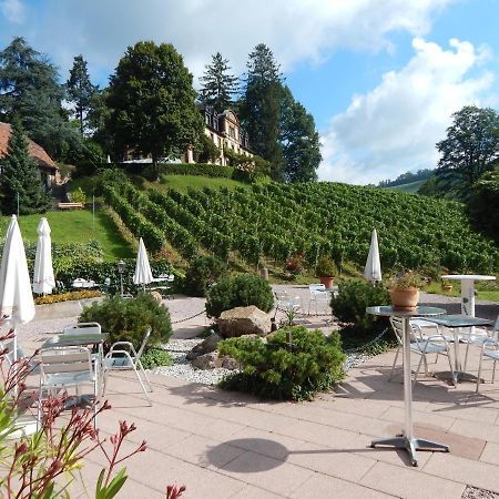 Wein Lodge Durbach - Gruppenhaus Weingut Neveu 外观 照片